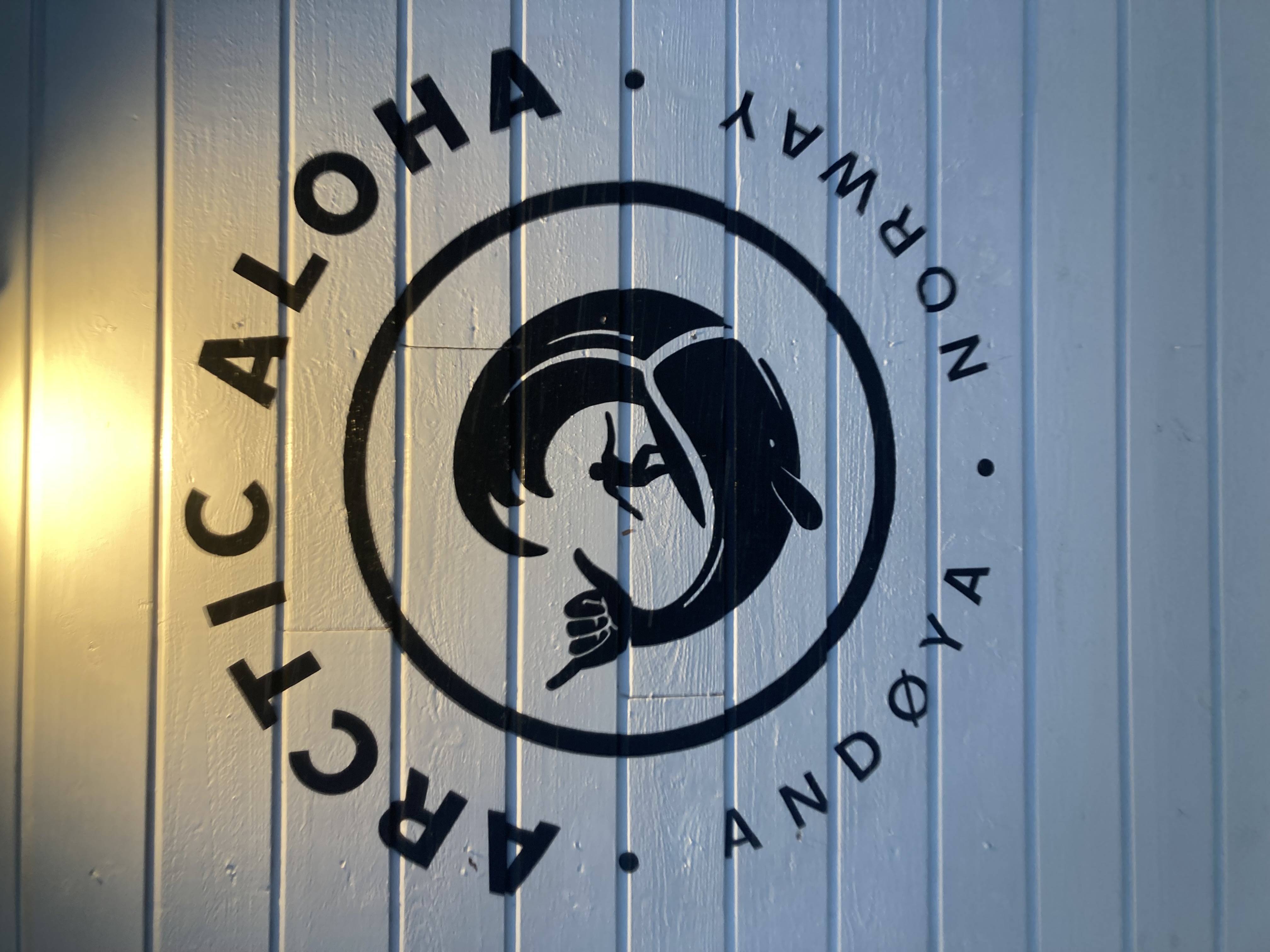 Arctic Aloha.jpeg