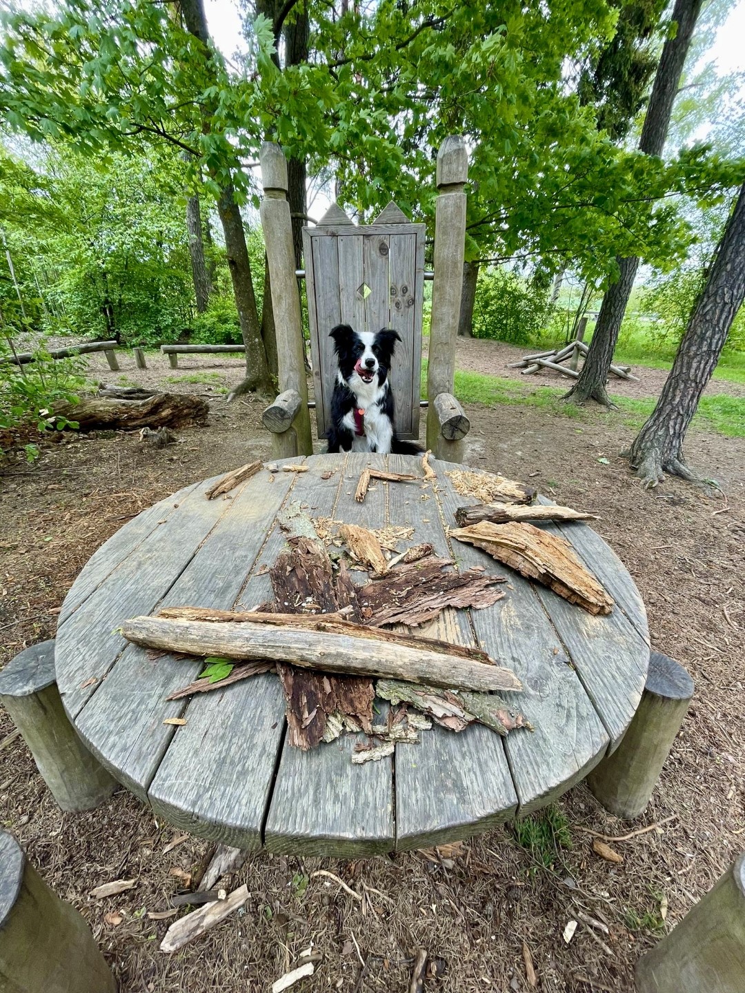Marley op viking troon.jpeg