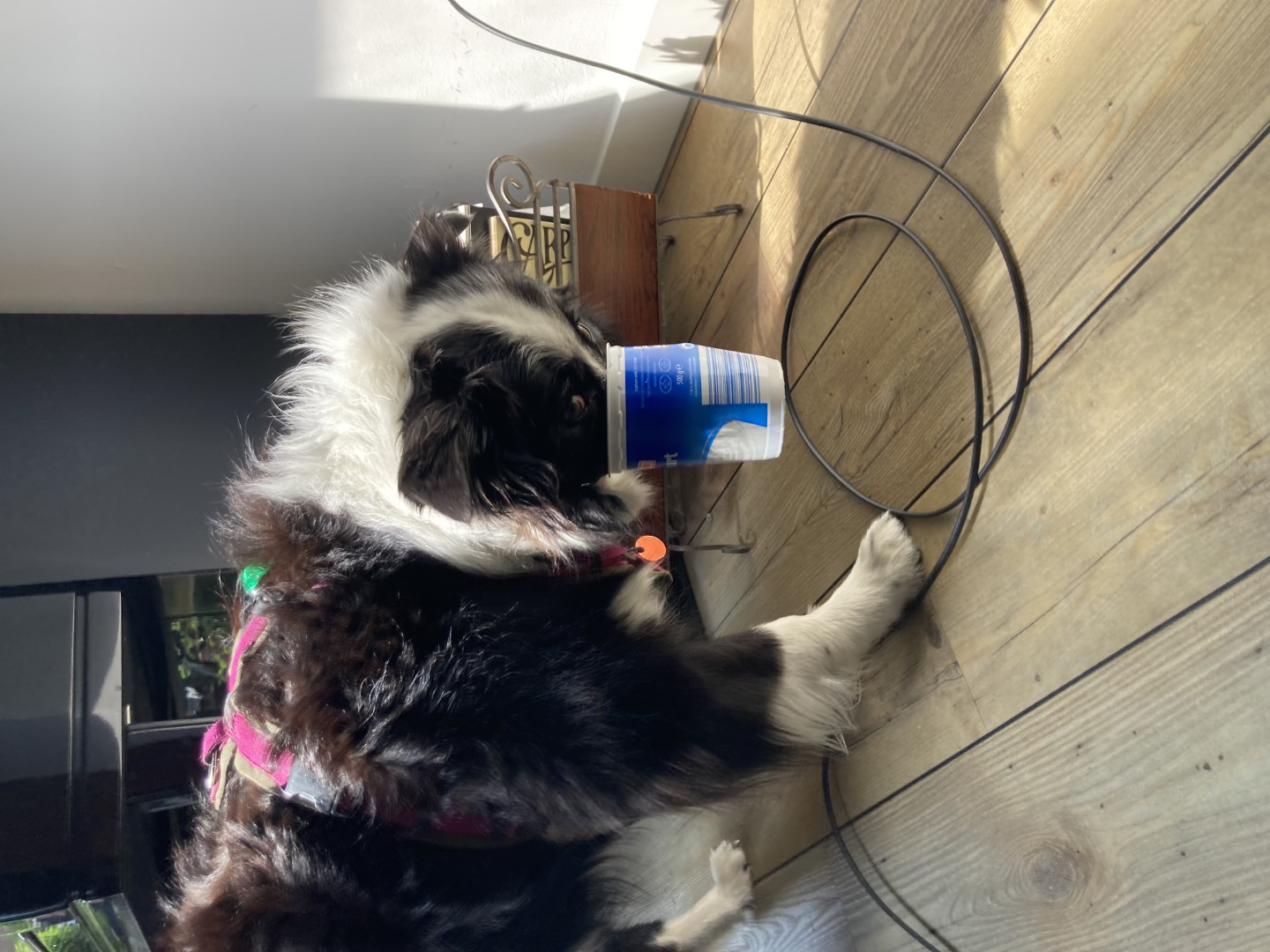 Marley yoghurtbeker.jpeg