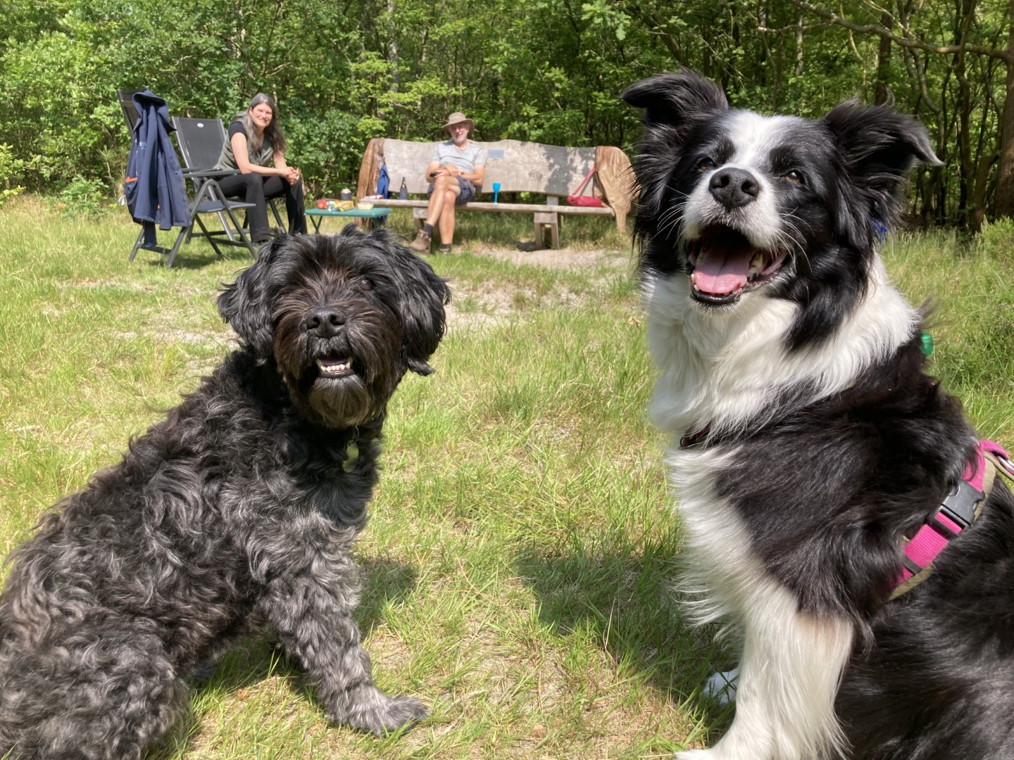 Peper en Marley.jpeg
