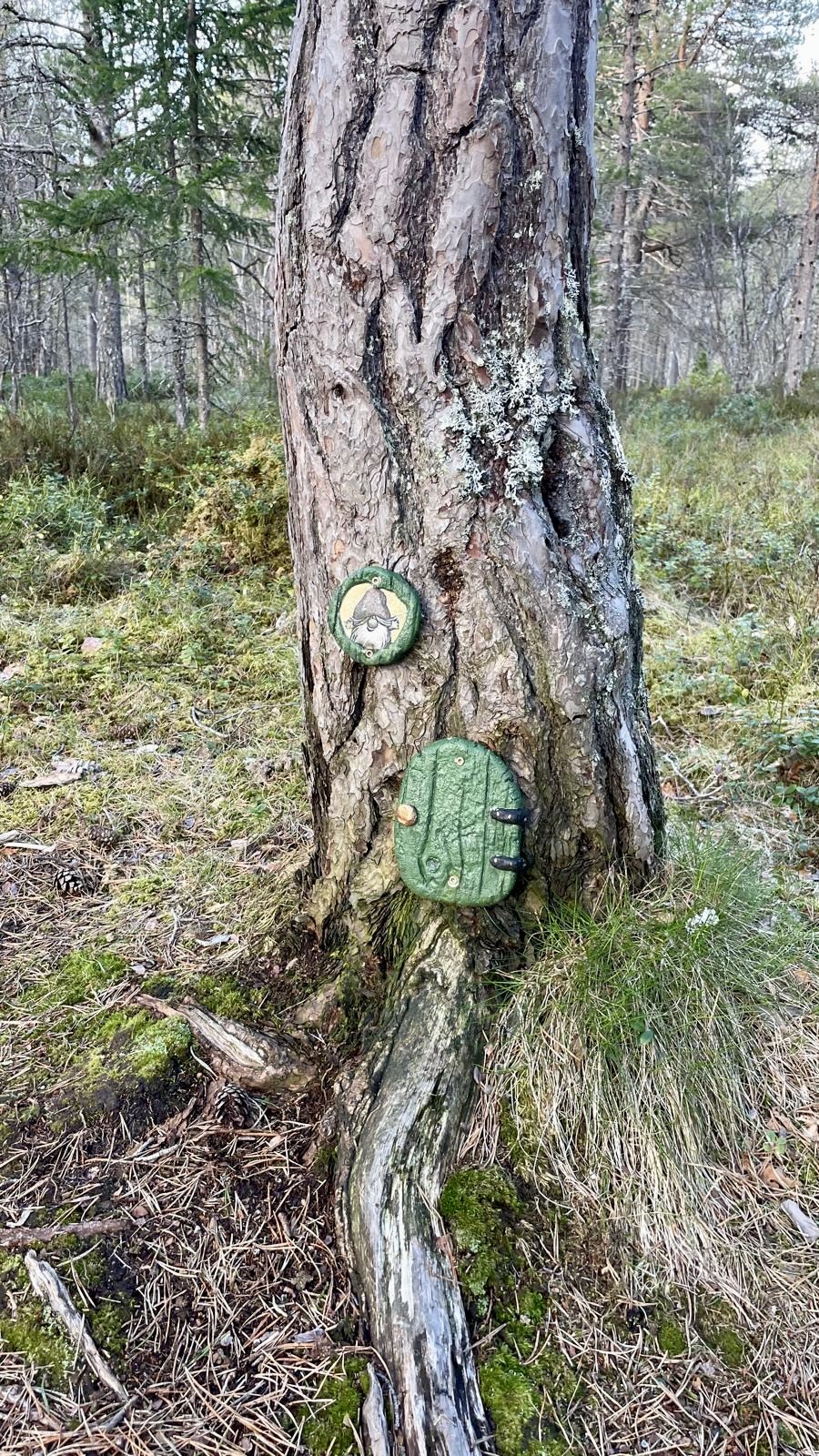 klein deurtje bos.jpeg