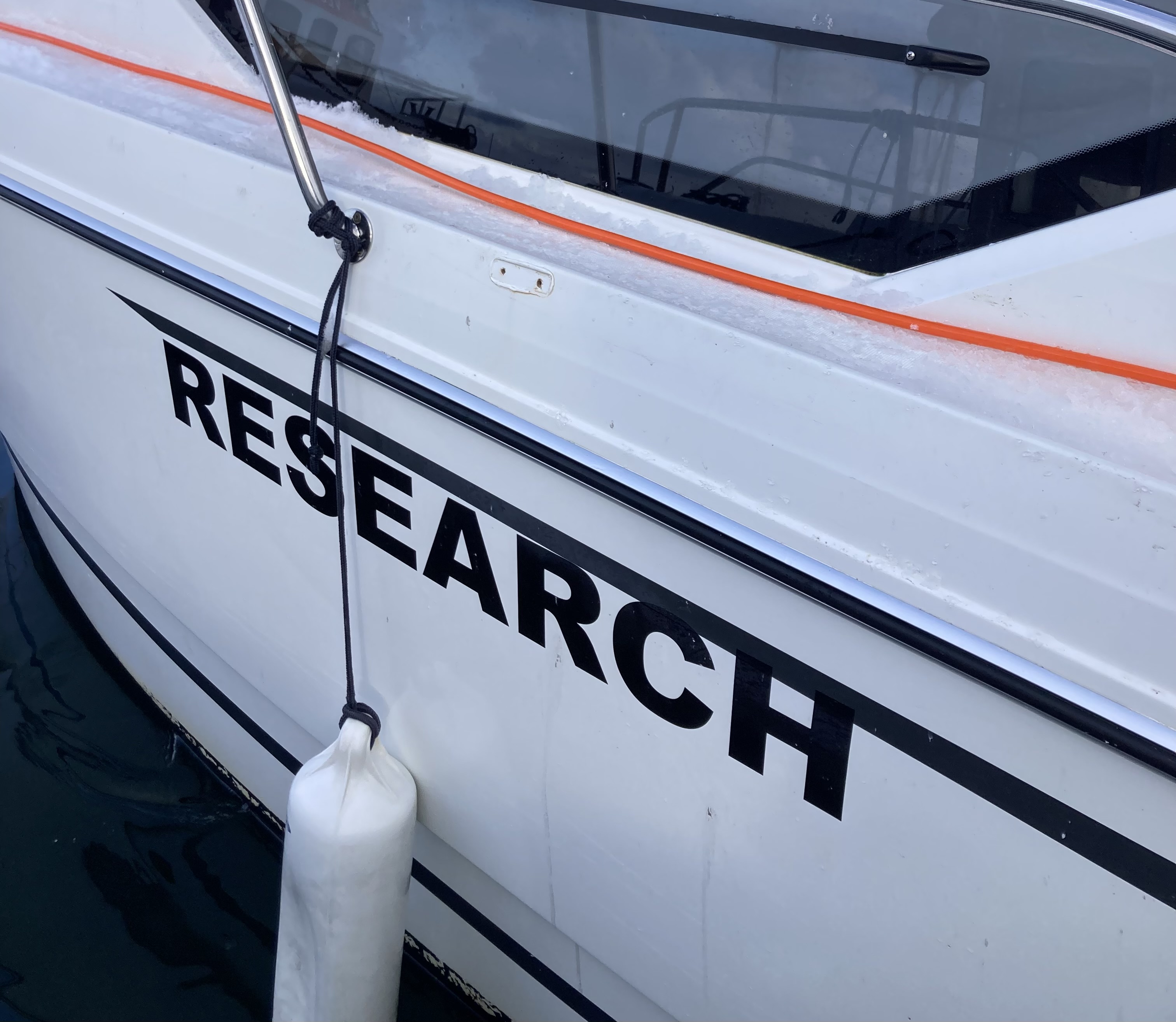 research.jpeg