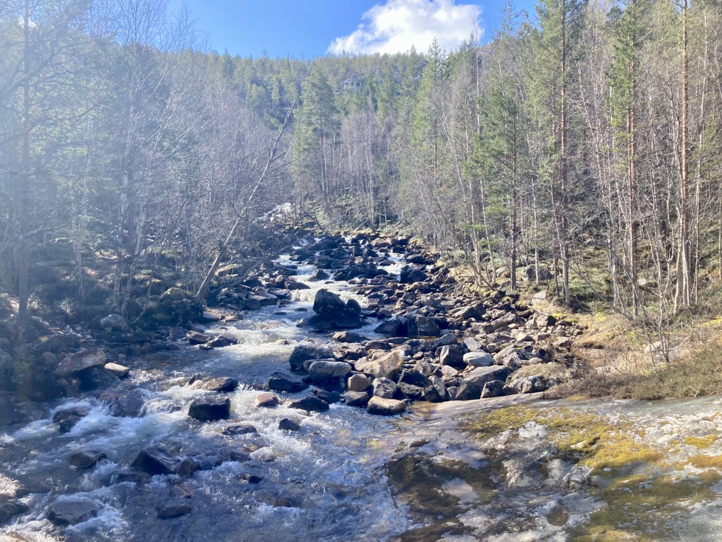 rivier met waterval.jpeg